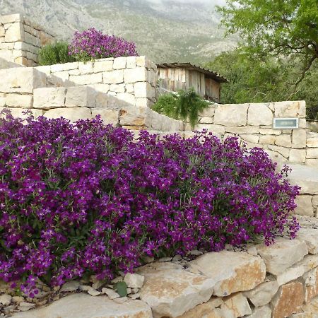 Kuca Za Odmor Viola Villa Zivogosce Exterior photo