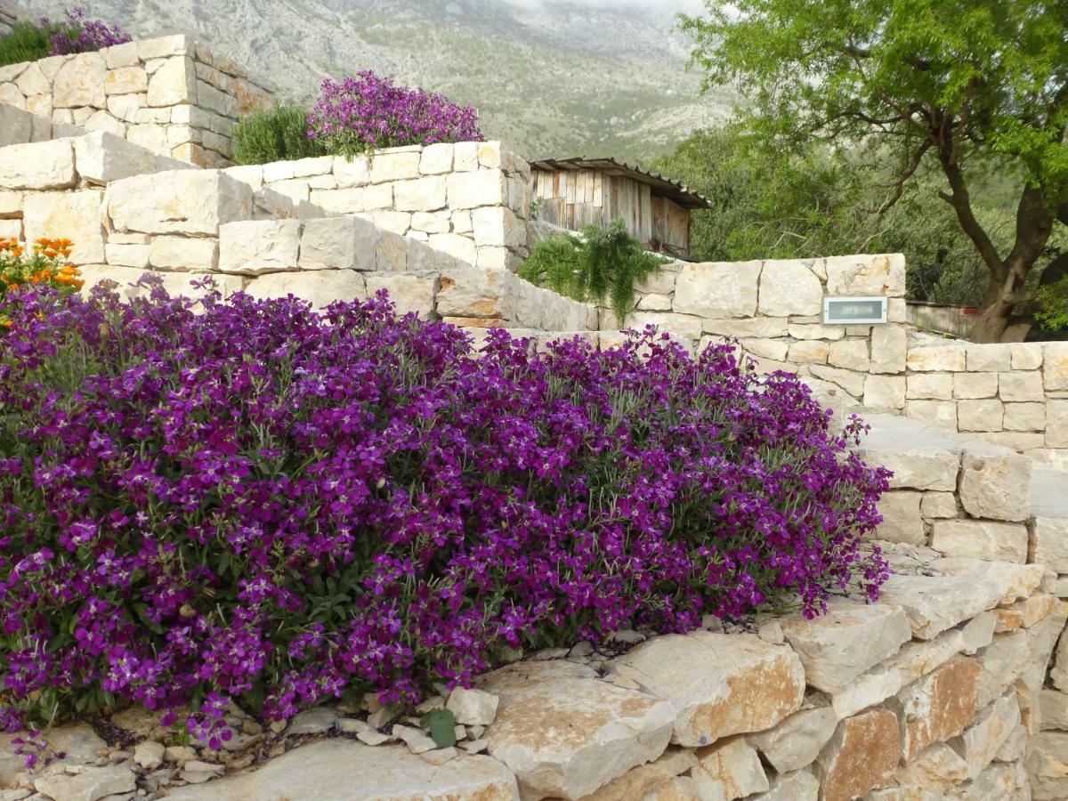 Kuca Za Odmor Viola Villa Zivogosce Exterior photo